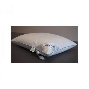 Spilvens Sapnas (Zoss spalvas un dūnas)